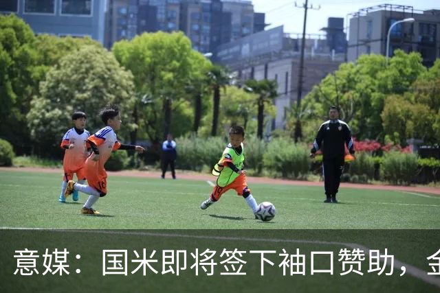 意媒：国米即将签下袖口赞助，金额将创意甲新高